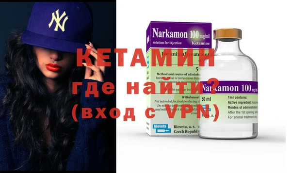 шишки Дмитриев