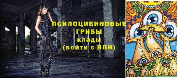 амфетамин Ельня