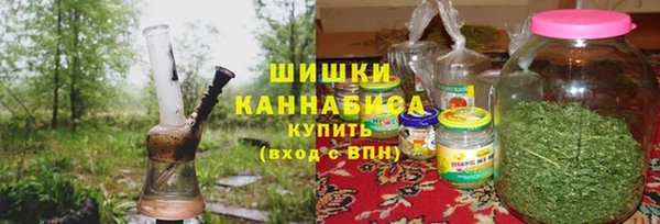 шишки Дмитриев